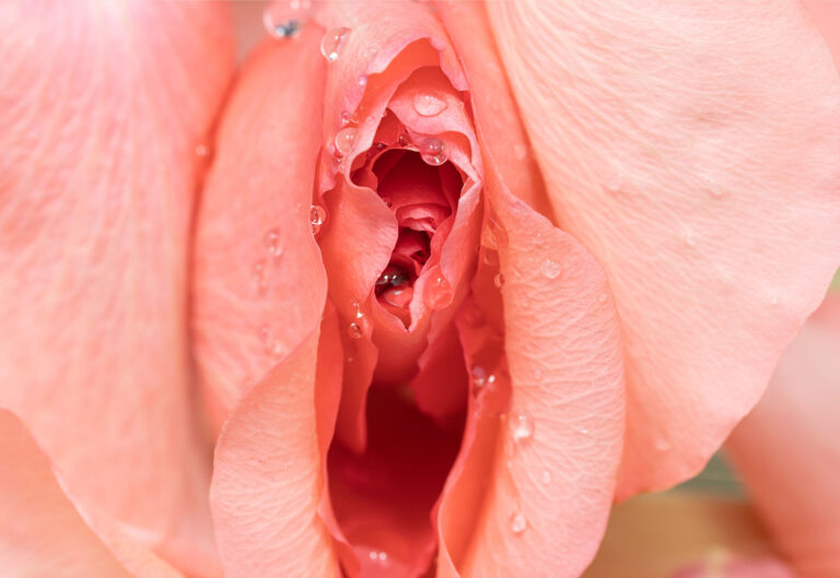 Waterbased Lubricants for Your Sex Toys